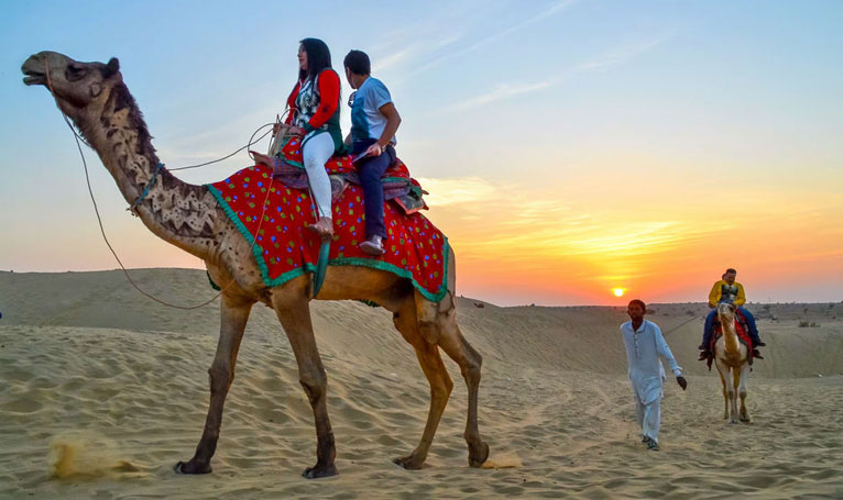 Camel Safari Adventure